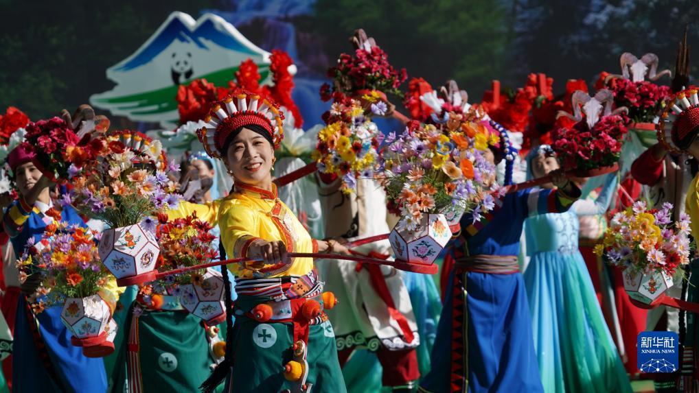 白菜送彩金大全免费